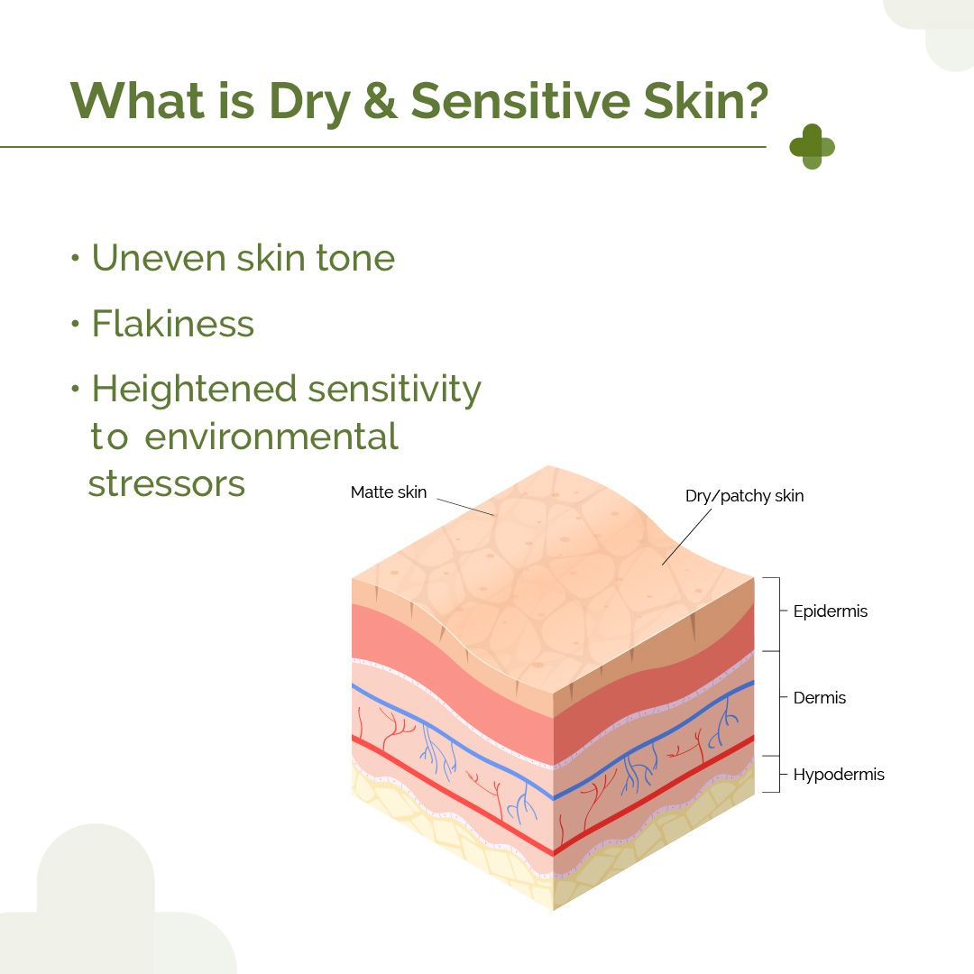 5% Nia-Ceramide Intense Moisturizing Cream - 100g