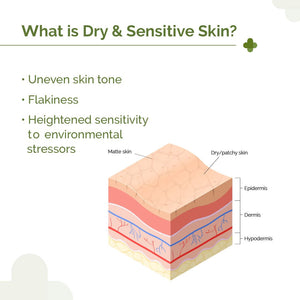 the derma co niacinamide cream with ceramide for dry & sensitive skin