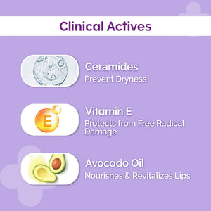 the derma co lip balm for chapped lips with  vitamin e and ceramides clinical actives