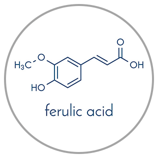 Ferulic Acid