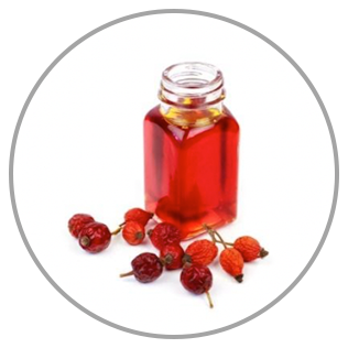Rosehip
