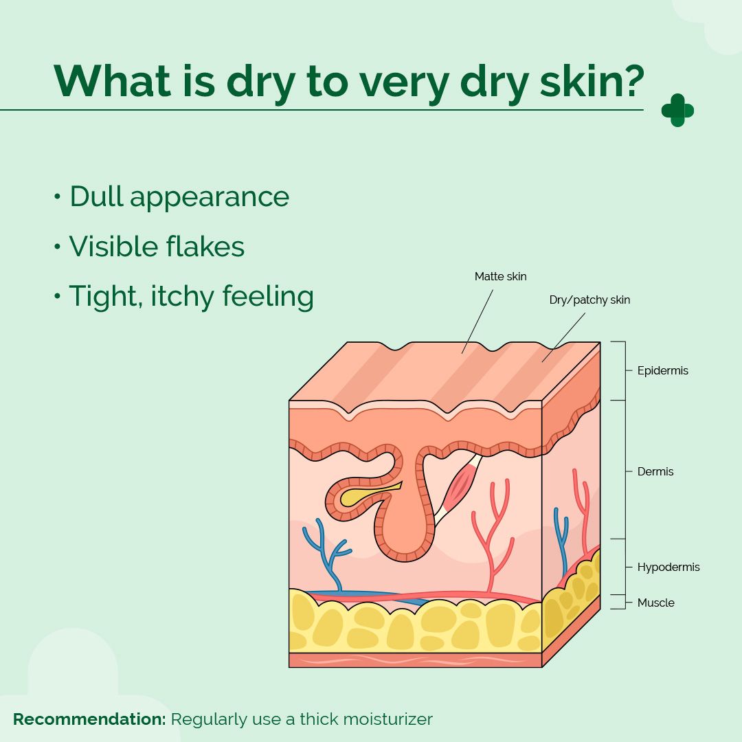 5% Nia-Ceramide Deep Moisturizing Cream with 5% Niacinamide & 1% Ceramide - 100g